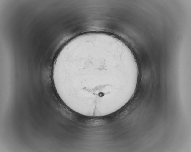 X0000112941314200909141339