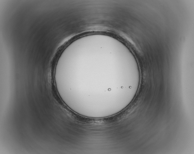 X0000112941315200909141339