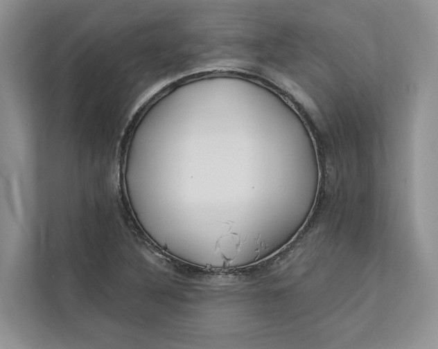 X0000112941316200909141339