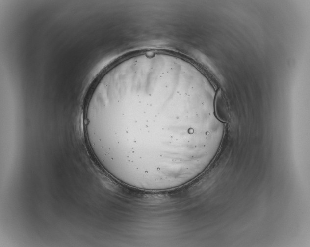 X0000112941320200909141339