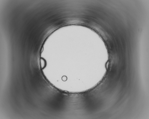 X0000112941322200909141339