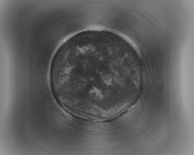 X0000112941327200909141339