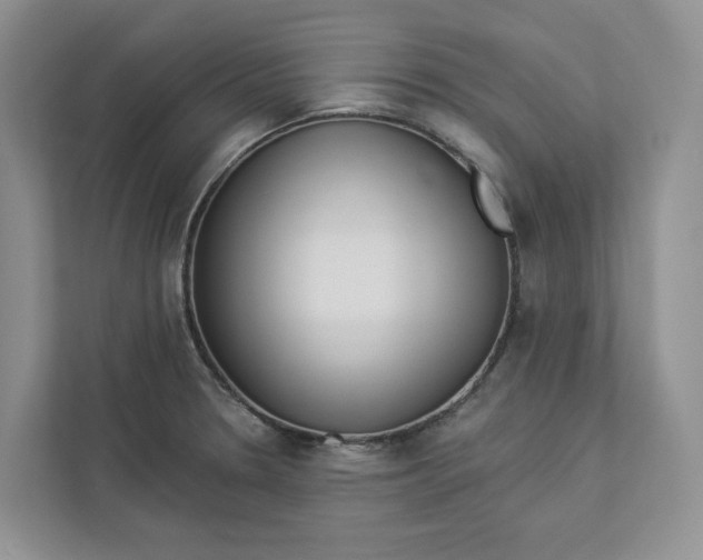 X0000112941330200909141339