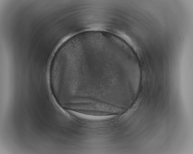 X0000112941331200909141339