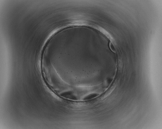 X0000112941334200909141339