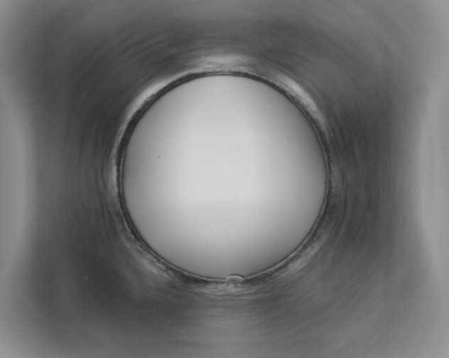 X0000112941336200909141339