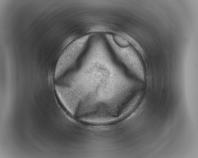 X0000112941337200909141339