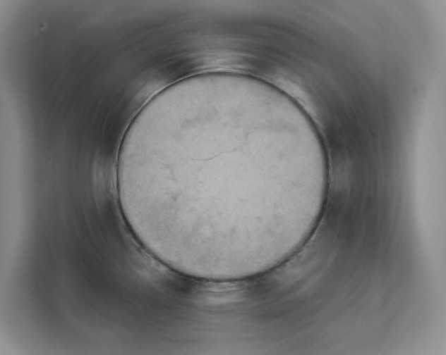 X0000112941338200909141339