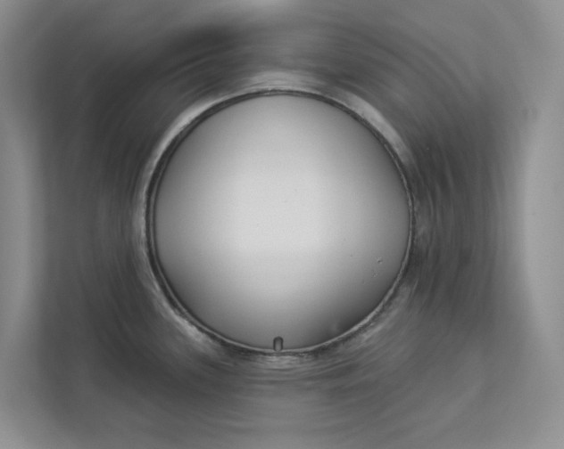 X0000112941339200909141339