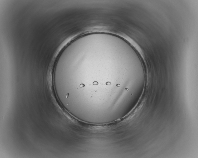 X0000112941341200909141339