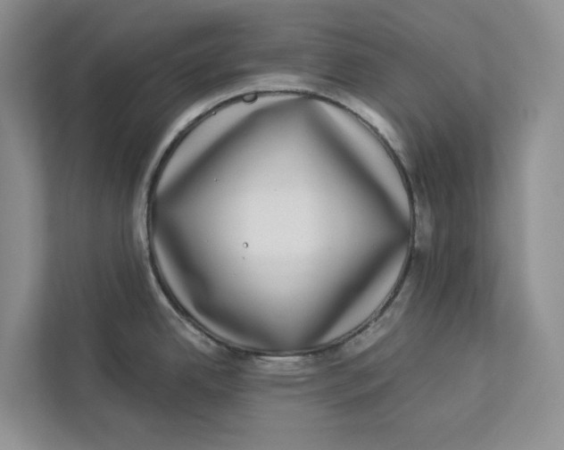 X0000112941342200909141339