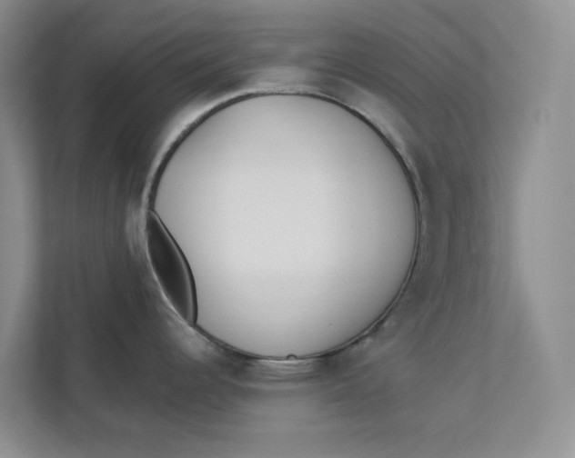 X0000112941344200909141339