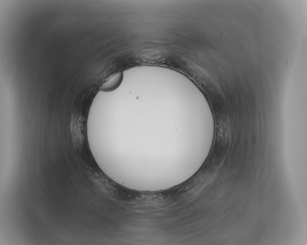 X0000112941346200909141339