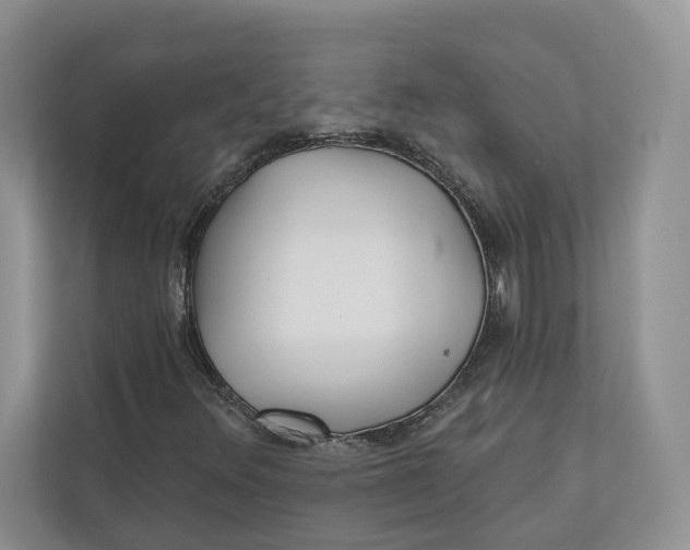 X0000112941348200909141339