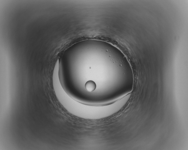 X0000112941349200909141339