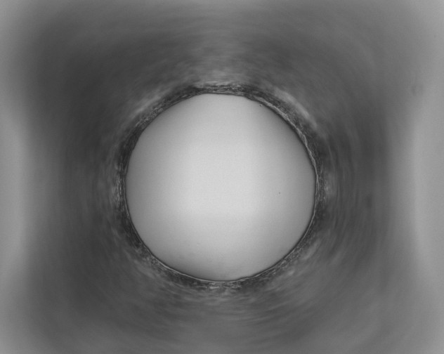 X0000112941350200909141339