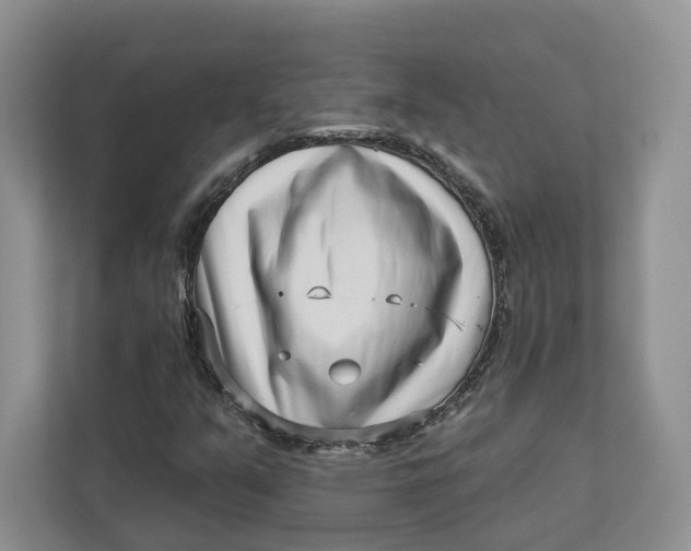 X0000112941351200909141339