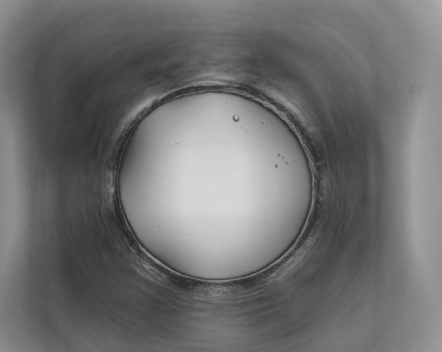 X0000112941355200909141339