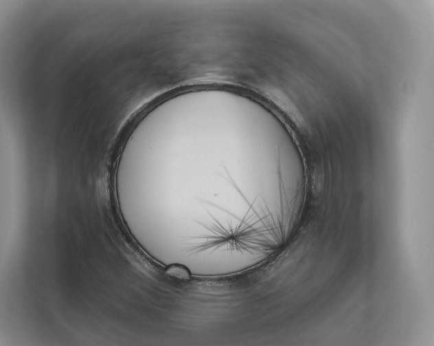 X0000112941356200909141339