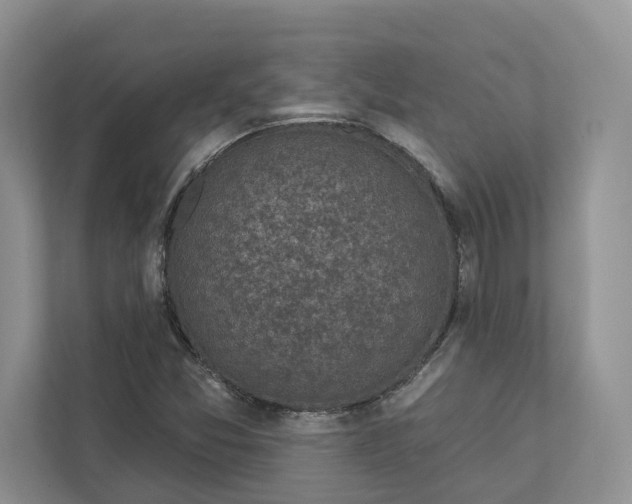 X0000112941357200909141339