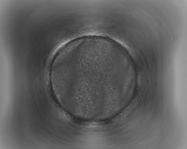 X0000112941359200909141338