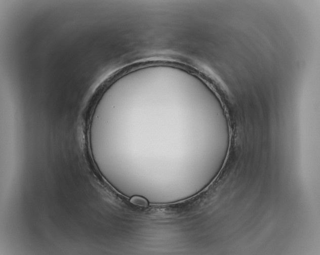 X0000112941360200909141338