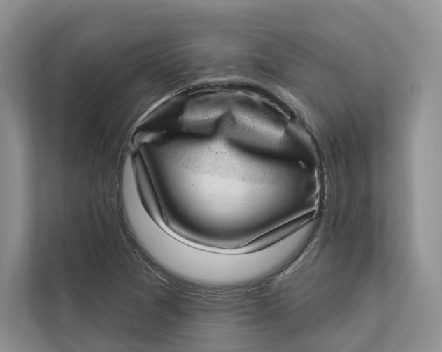 X0000112941361200909141338