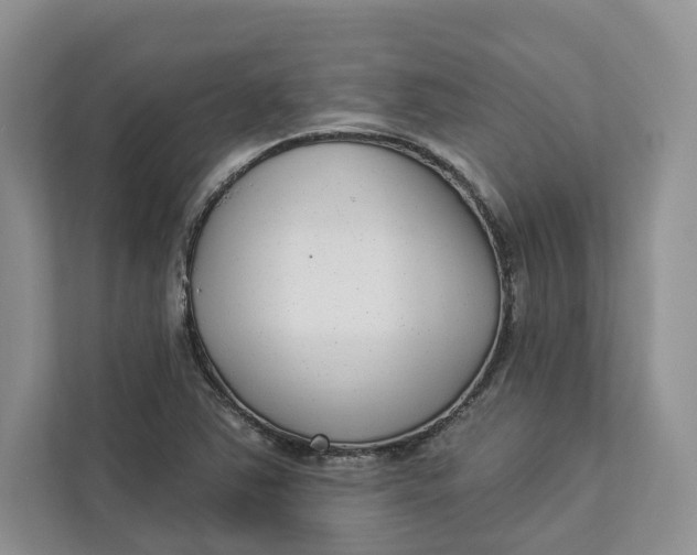 X0000112941363200909141338