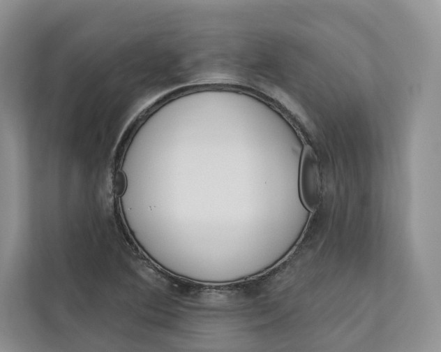 X0000112941364200909141338