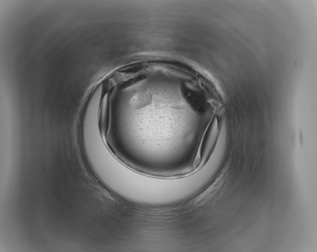 X0000112941365200909141338