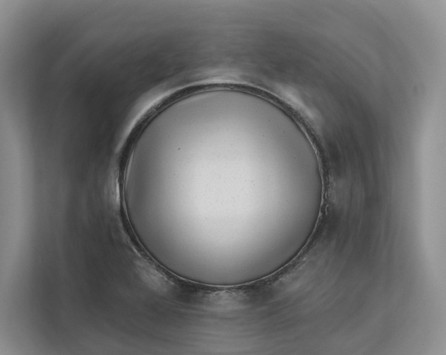 X0000112941368200909141338