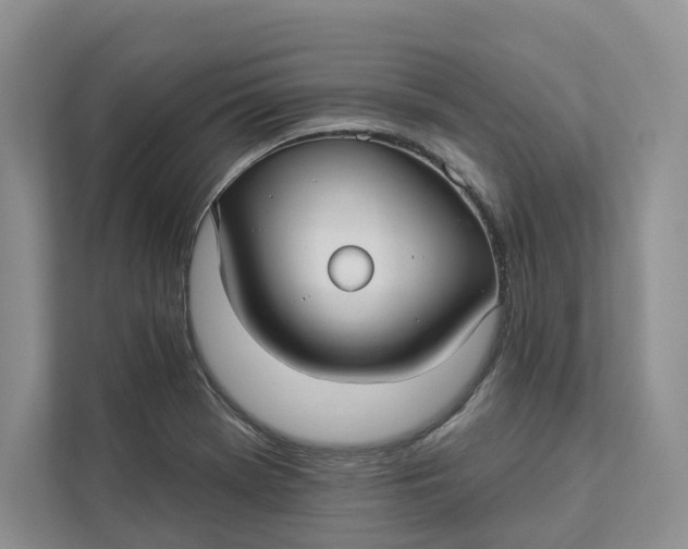 X0000112941369200909141338