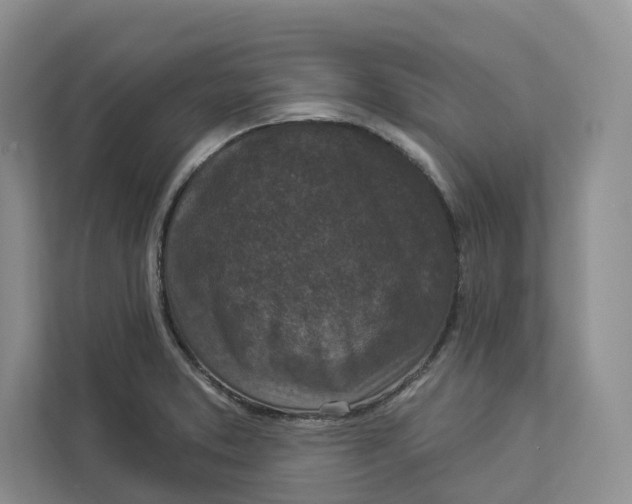 X0000112941373200909141338