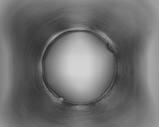 X0000112941380200909141338