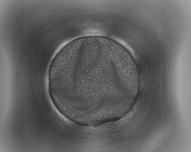 X0000112941383200909141338