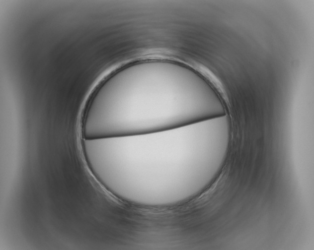 X0000112941384200909141338