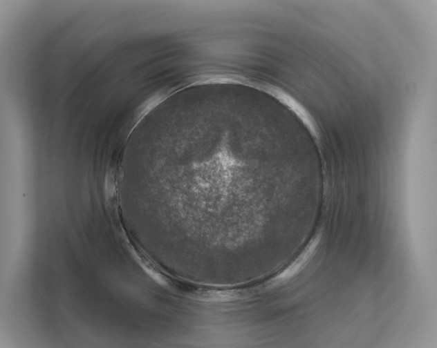 X0000112941385200909141338