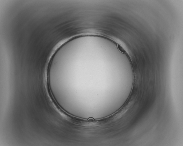 X0000112941387200909141338