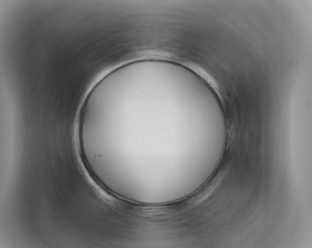 X0000112941391200909141338