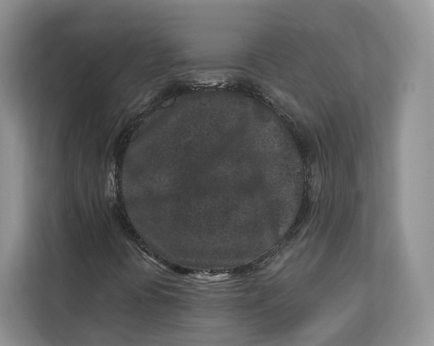 X0000112941394200909141337