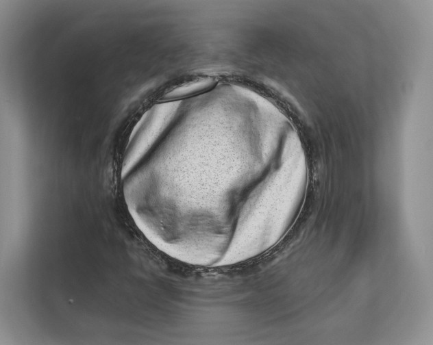 X0000112941398200909141337