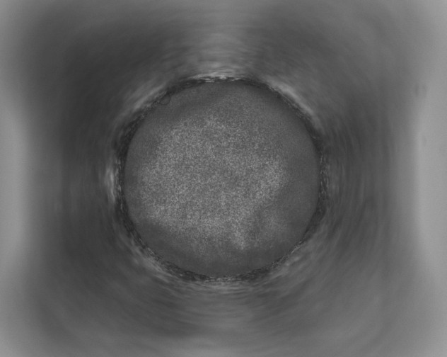 X0000112941399200909141338