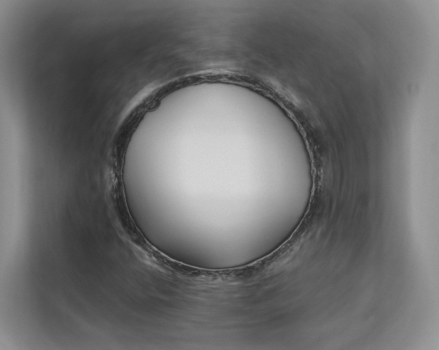 X0000112941400200909141338