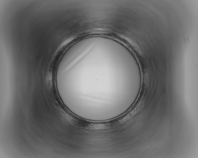 X0000112941402200909141338