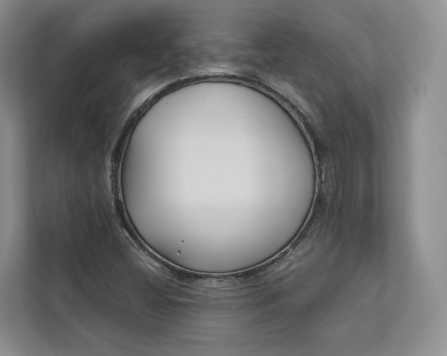 X0000112941404200909141338