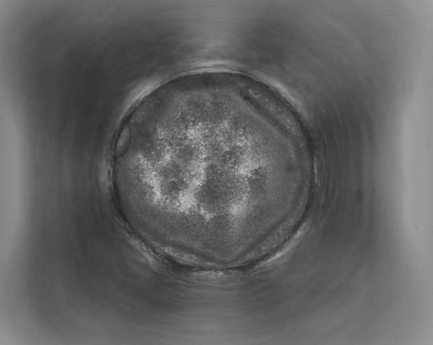 X0000112941405200909141338