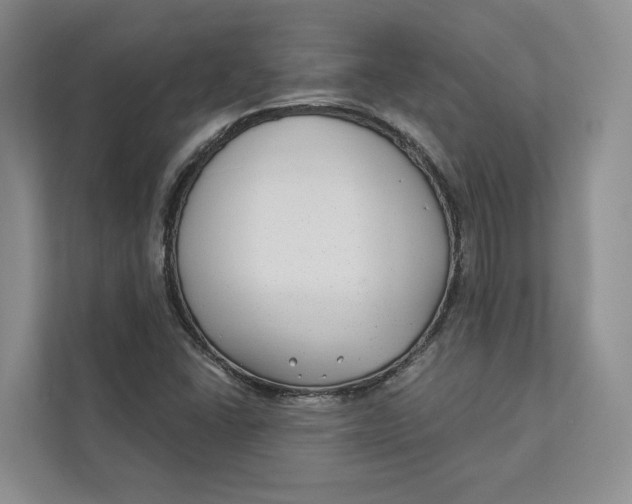 X0000112941406200909141338