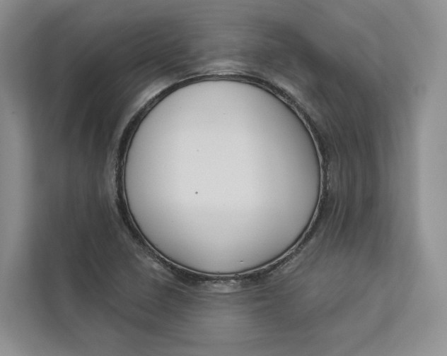 X0000112941410200909141338