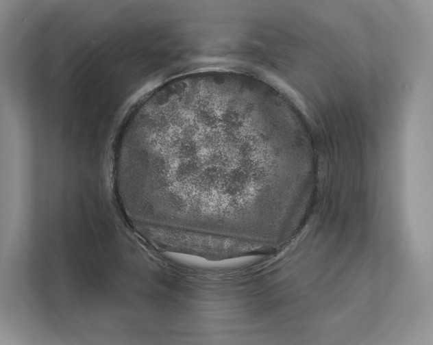 X0000112941411200909141338