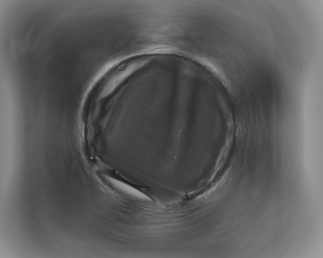 X0000112941414200909141338